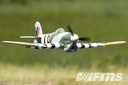 FMS Hawker Typhoon 1100mm PNP-7508