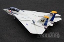 Freewing F-14 Tomcat Twin 80mm EDF PNP-7485