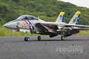 Freewing F-14 Tomcat Twin 80mm EDF PNP-7487