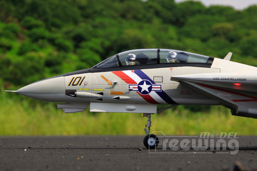 Freewing F-14 Tomcat Twin 80mm EDF PNP-7494