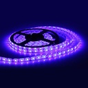 Blue Led SMD 100mm 6 LED