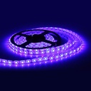 Tira de led SMD  12v color azul alta luminosidad 100mm  6 led