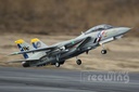 Freewing F-14 Tomcat Twin 80mm EDF PNP (Deluxe Edition)